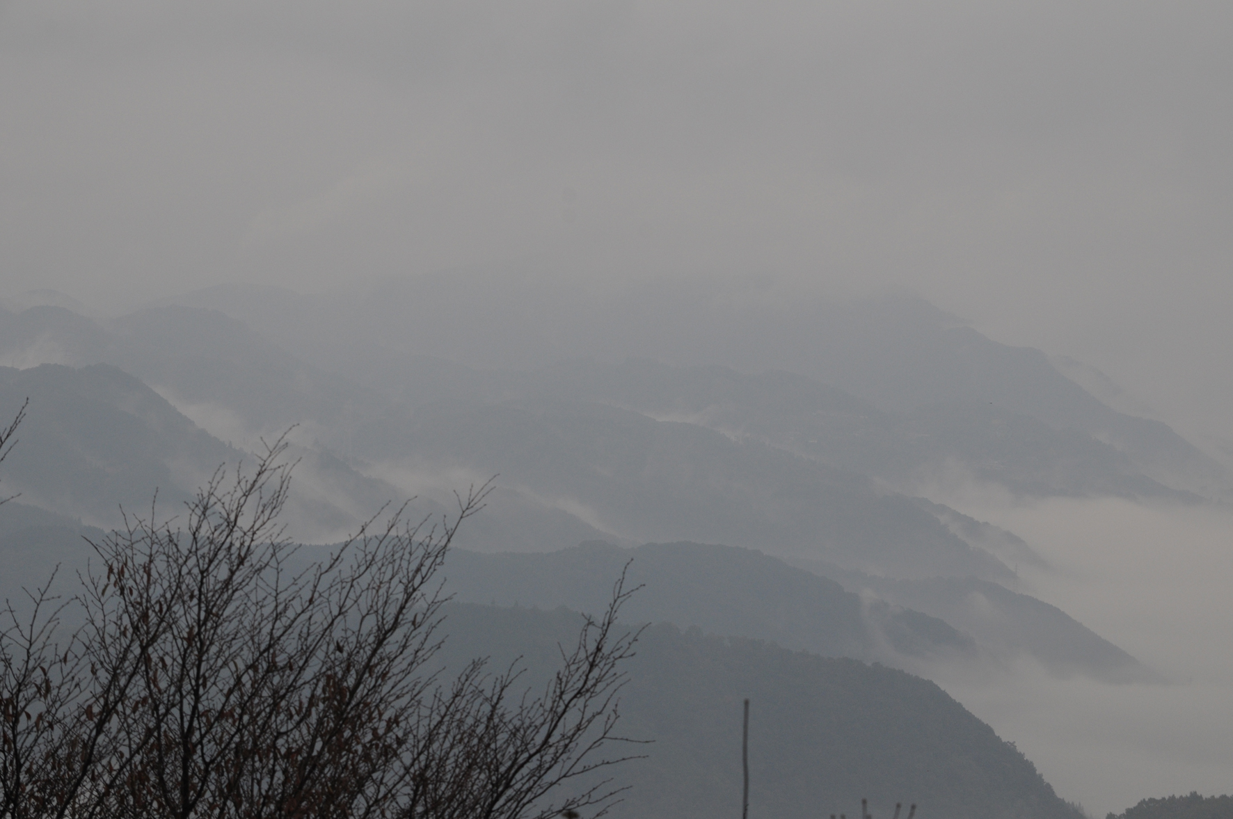 弥高山からの雲海